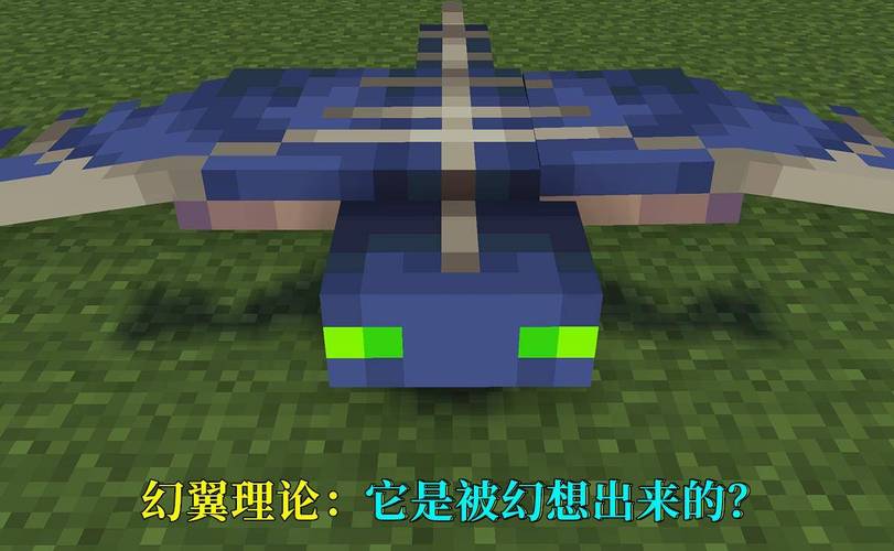 我的世界翼翅