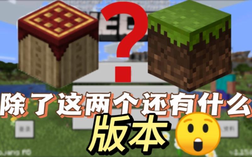 除了我的世界