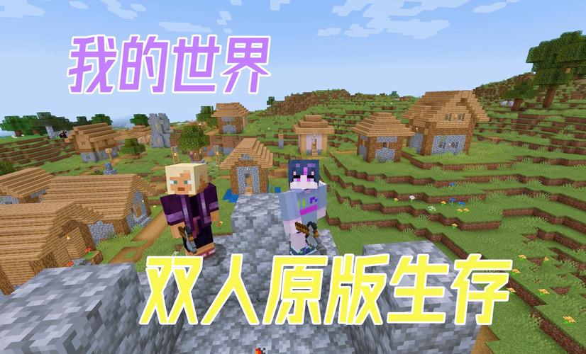 我的世界双人生存视频