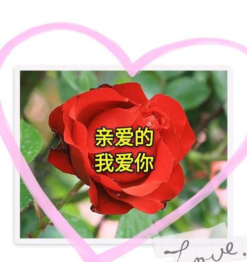亲爱的我的爱