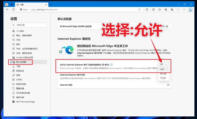 win10浏览器设置