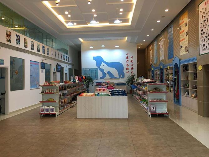 动物护理店