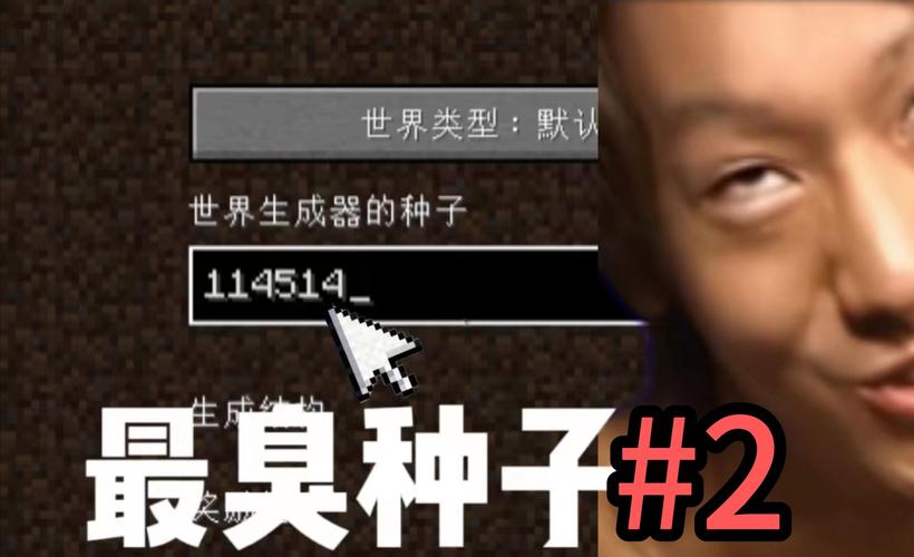 我的世界哪个种子最好