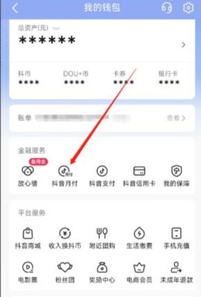 怎样查抖音月付功能已开通?它有哪些其他付费功能?
