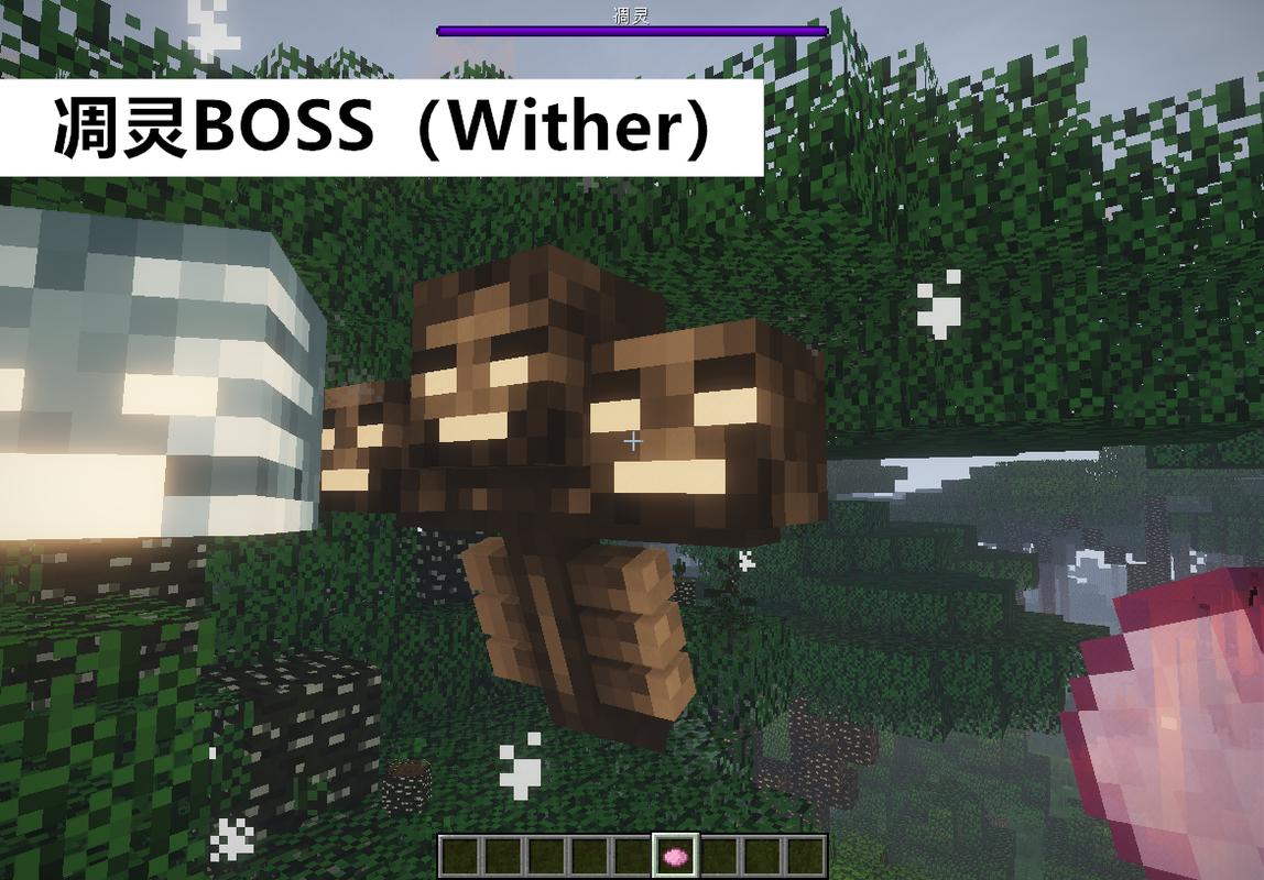 我的世界wither