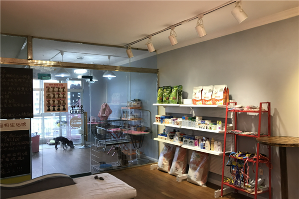 动物护理店