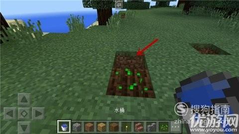 我的世界浇水
