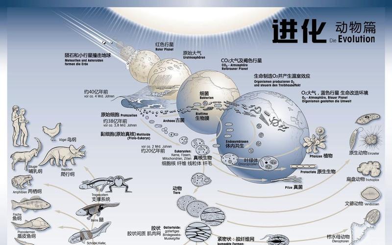 细胞进化星球