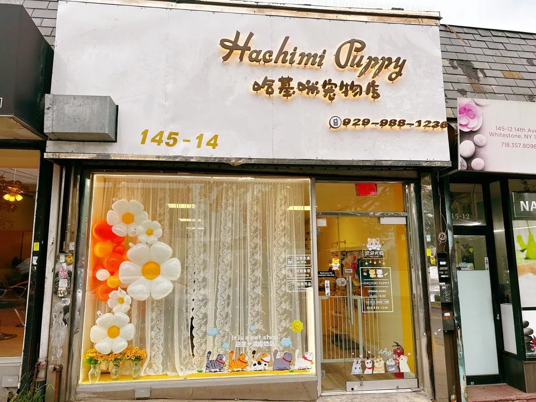 宠物美容店