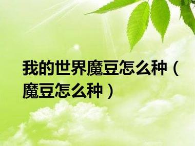 我的世界魔豆怎么种