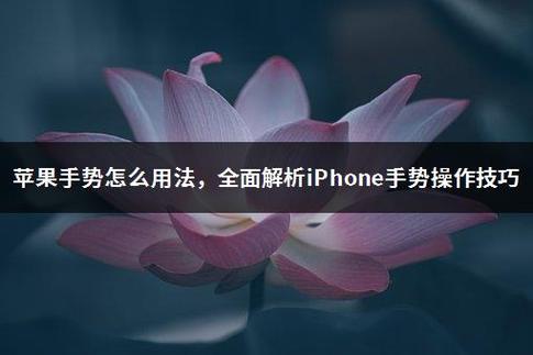 苹果手势怎么设置