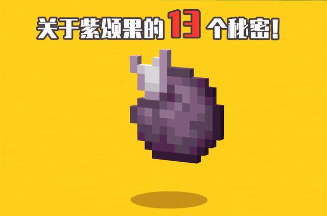 我的世界紫颂果怎么种