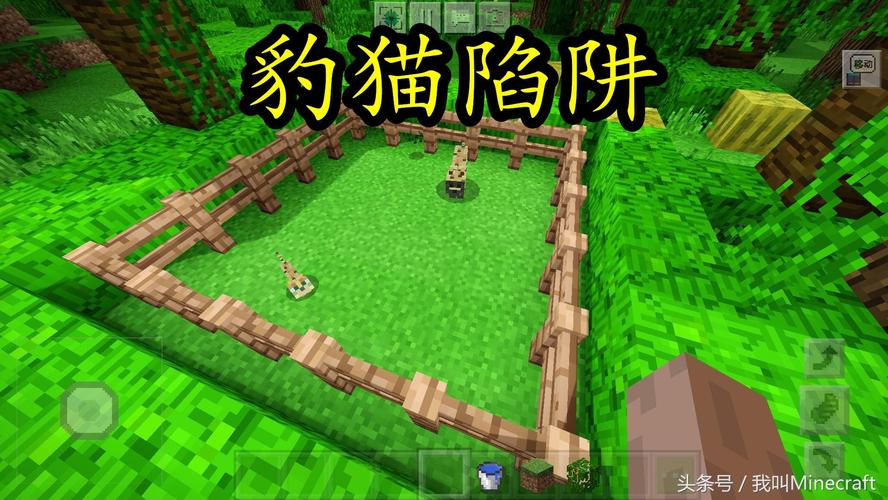 我的世界训猫