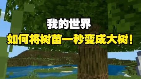 我的世界树苗怎么长大