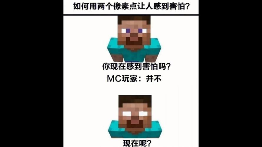 斗图我的世界