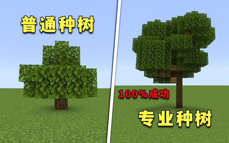 我的世界种树间隔多少