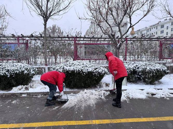 雪地清理