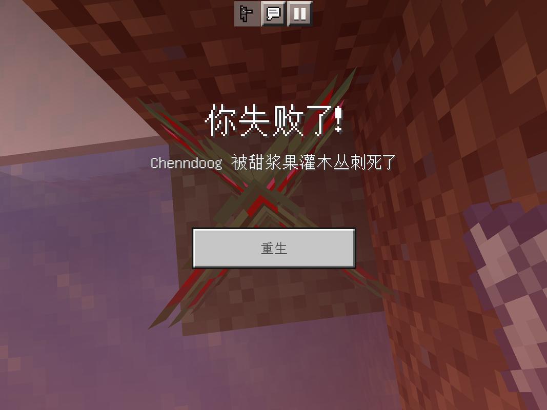 我的世界 自杀