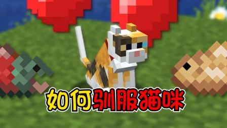 我的世界训猫
