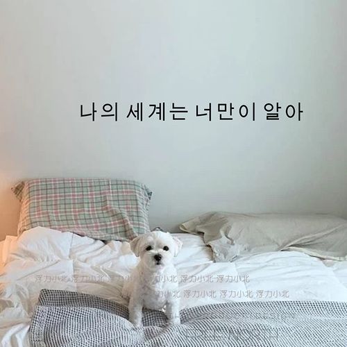 我的世界韩文