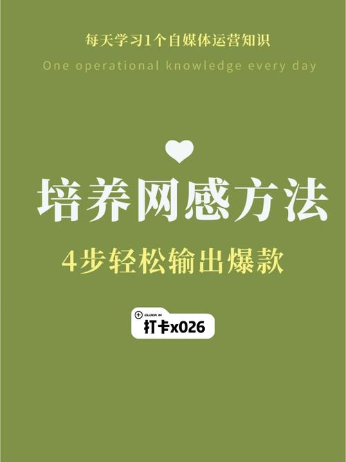 网感是怎样锻炼出来的?培养网感的技巧是什么?