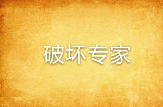 破坏专家