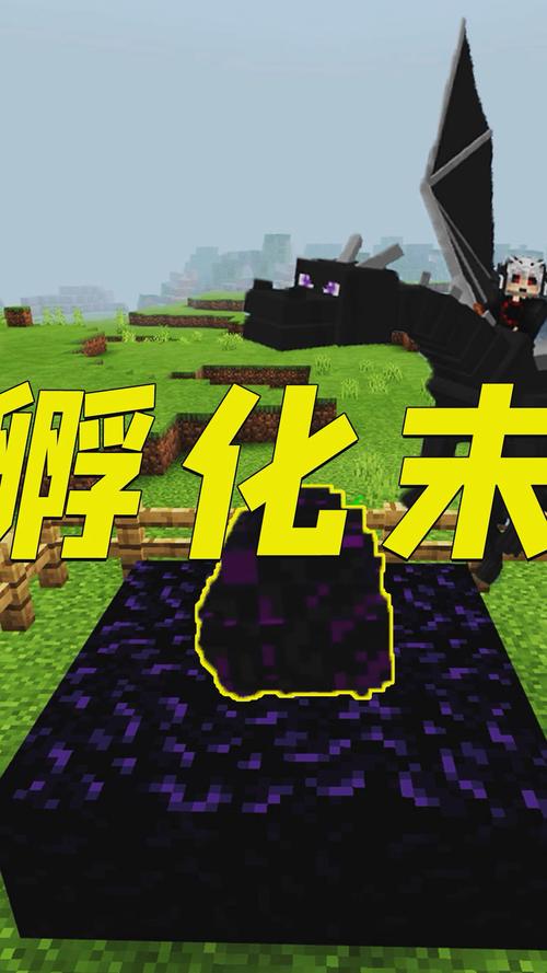 我的世界怎么孵化末影龙