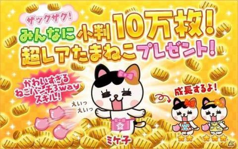 球球猫战争 球球猫战争