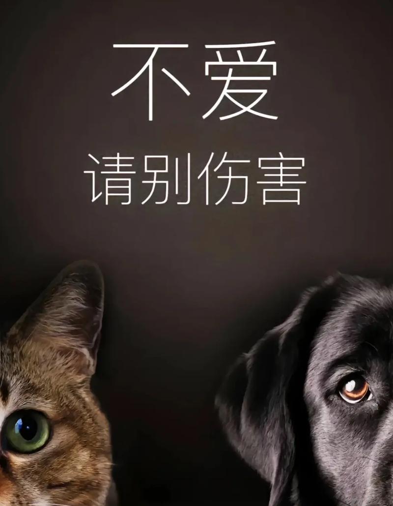 拯救小狗