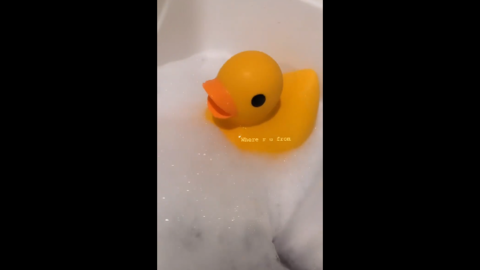 浴缸小黄鸭