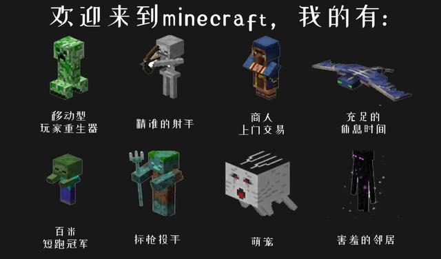 我的世界养成