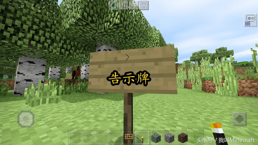 我的世界令牌
