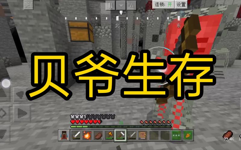 我的世界毛豆