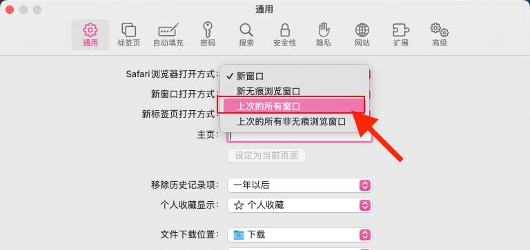 safari怎么设置