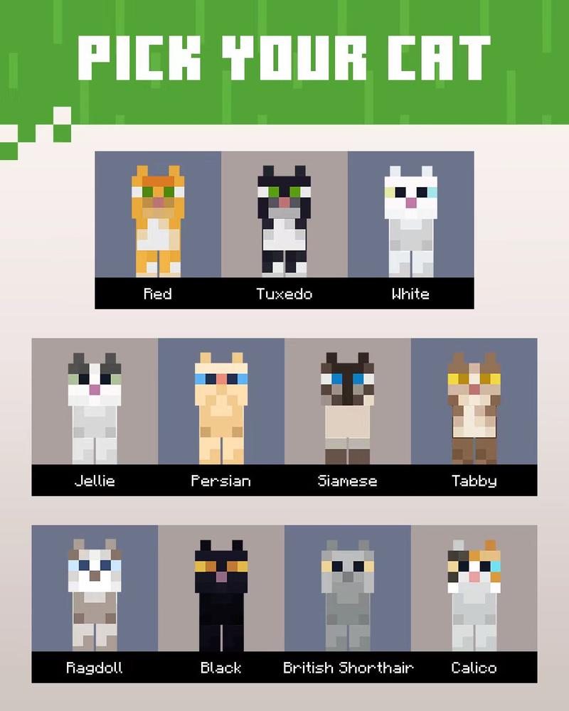 我的世界猫怎么做