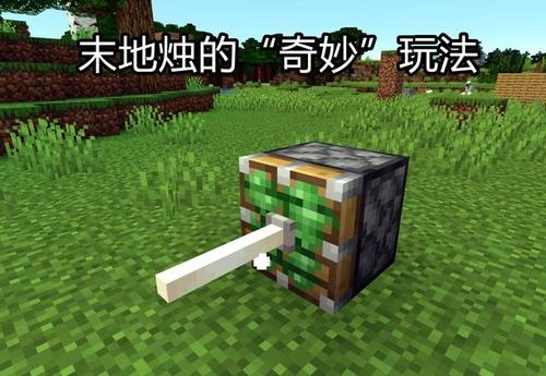 我的世界末地棒