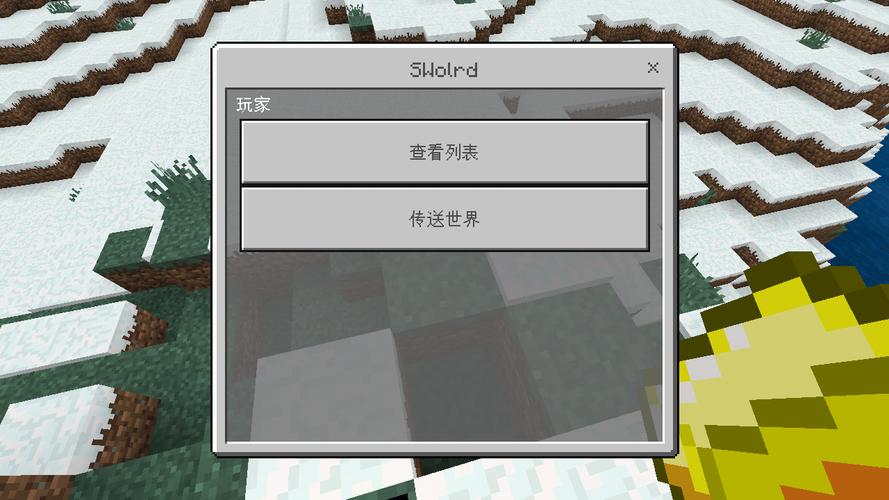 我的世界查询插件