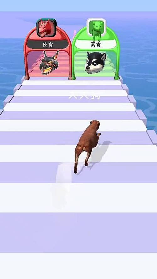 动物变身对决