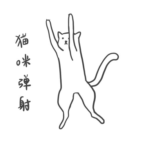 猫咪弹射 猫咪弹射