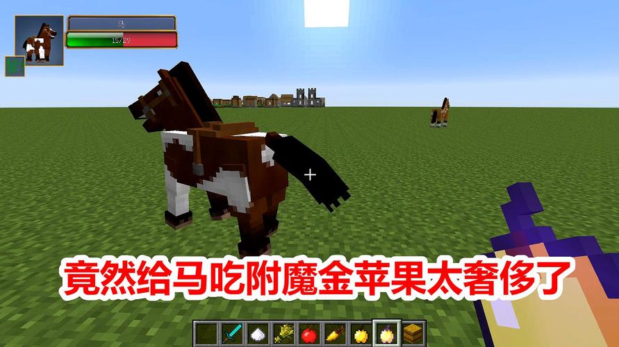 我的世界马吃什么食物