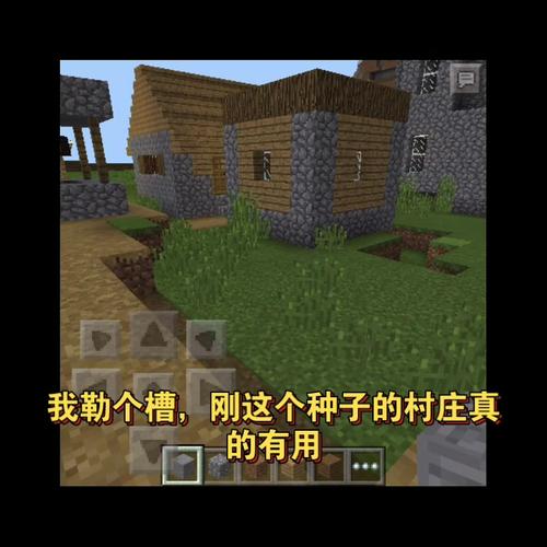 我的世界冰原村庄种子