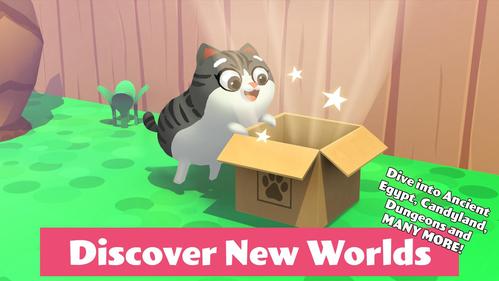 猫小盒2