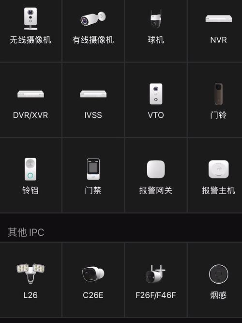 大华监控设置