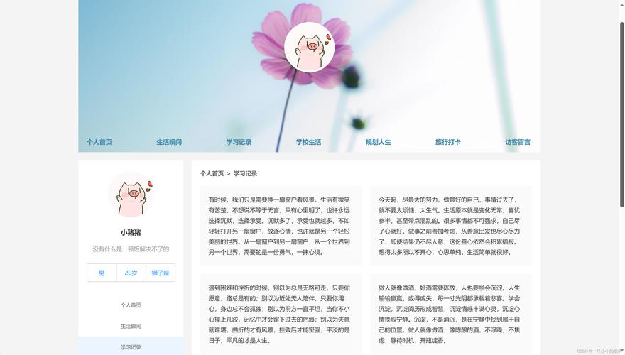 设置网页标题