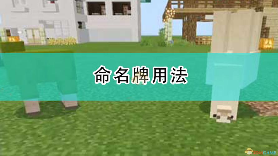 我的世界命令牌怎么用