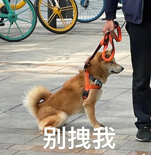 倔强脑洞