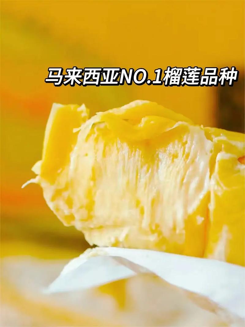 欢乐山凶杀案2