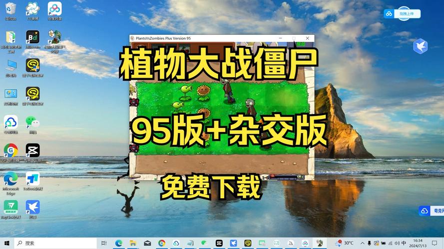 植物大战僵尸95版安装