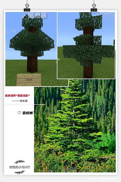 我的世界什么树最高