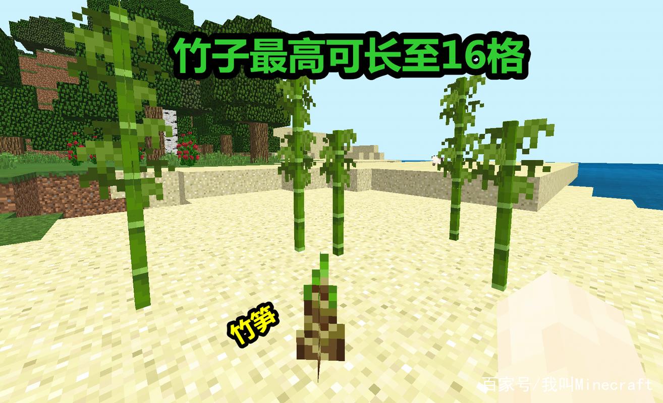 我的世界竹笋怎么挖
